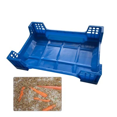Bwat Elvaj Ensèk Pou Mealworm